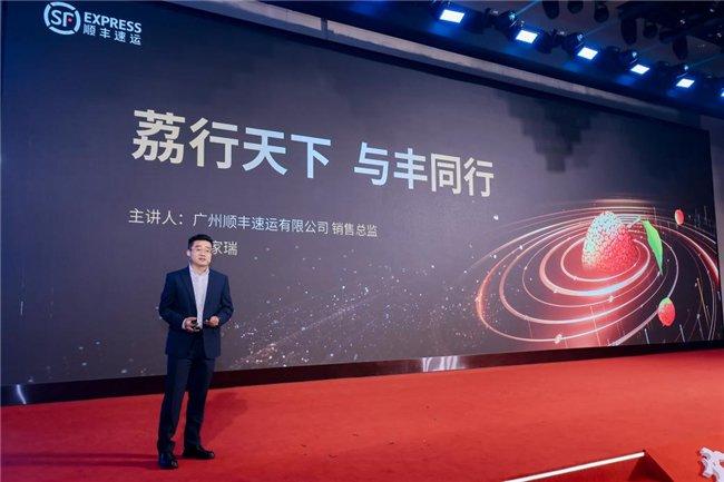 新加坡8台直播源_新加坡直播_新加坡直播专线