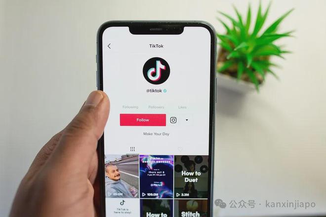 新加坡tiktok专线直播_TikTok 13岁注册限制-新闻-TikTok直播专线网络 原生ip节点 独享海外原生IP直播加速 TikTok出海专用网络