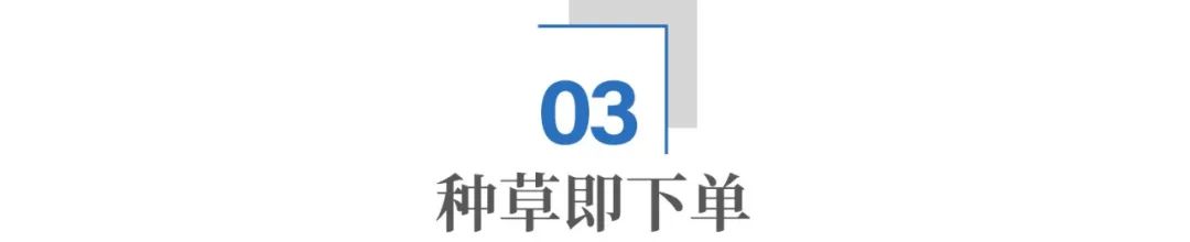 LABUBU全球火爆原因_tiktok日本直播ip_泡泡玛特TikTok营销策略