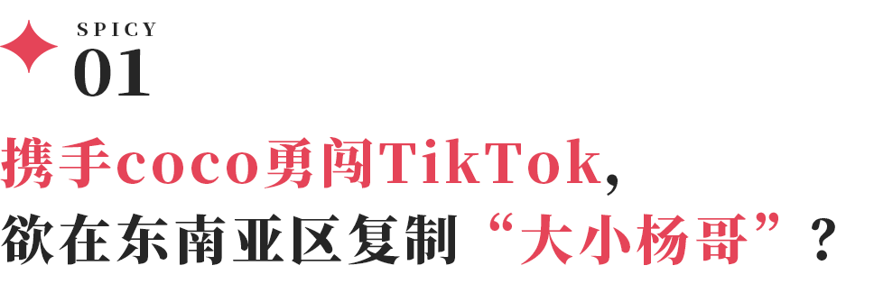 小黄TikTok东南亚发展_红绿灯的黄TikTok直播_tiktok海外直播线路
