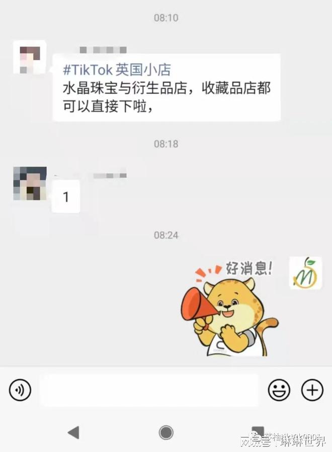 玉石类小店运营策略_TikTok Shop英国珠宝类小店申请_tiktok埃及直播ip