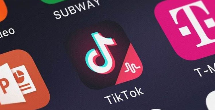 TikTok美国打压_法国tiktok原生ip_TikTok威胁国家信息安全分析